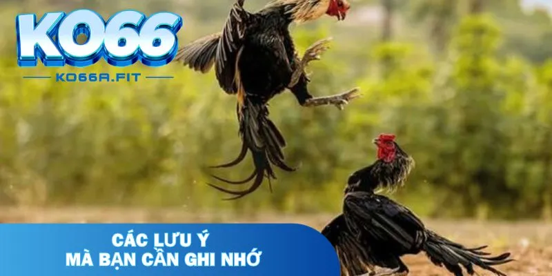 Các lưu ý mà bạn cần ghi nhớ