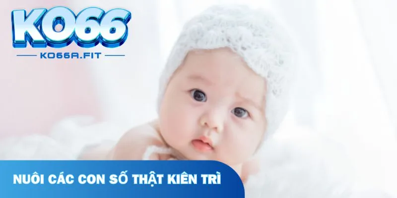 Nuôi các con số thật kiên trì 