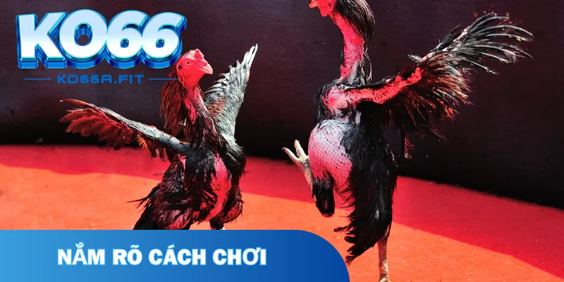 Đi tìm hiểu lý do vì sao nó được yêu thích 