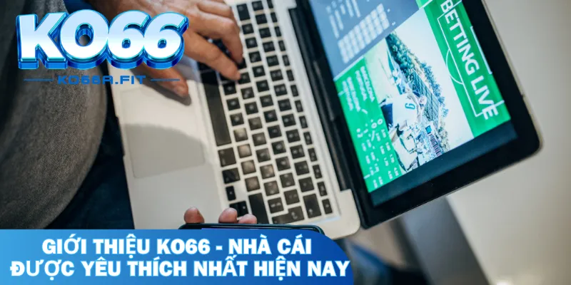 Giới thiệu KO66 - Nhà cái được yêu thích nhất hiện nay