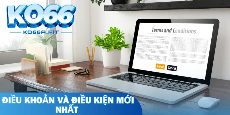 Tổng hợp cho bet thủ các điều khoản và điều kiện mới nhất tại nhà cái