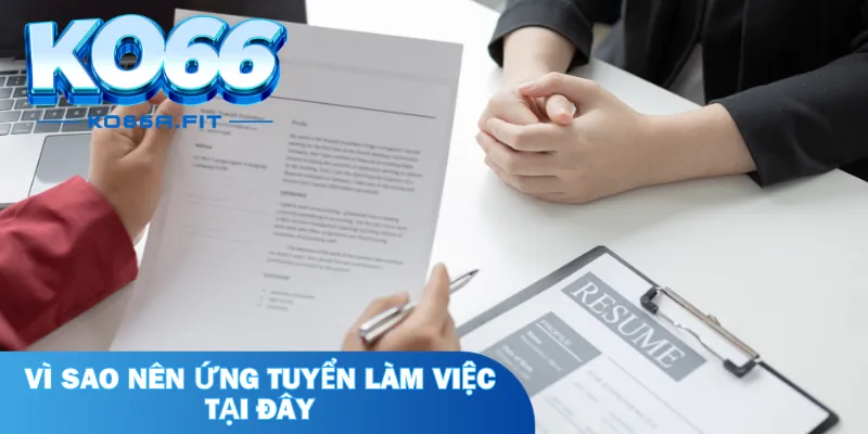 Vì sao nên ứng tuyển làm việc tại đây