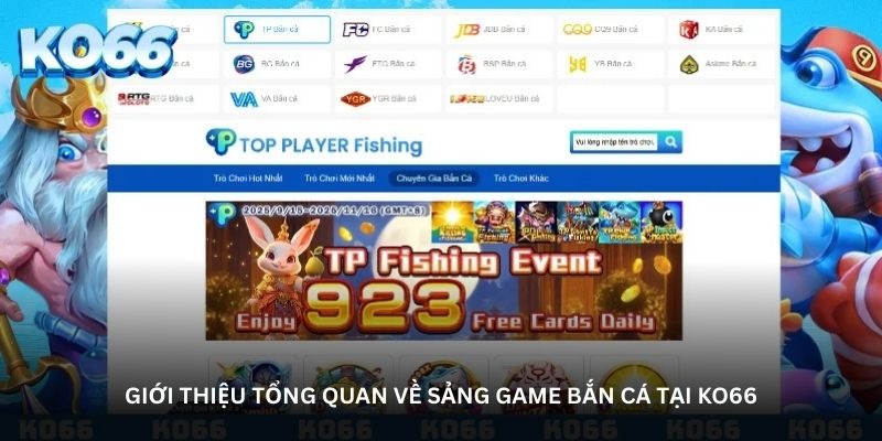 Giới thiệu tổng quan về KO66.